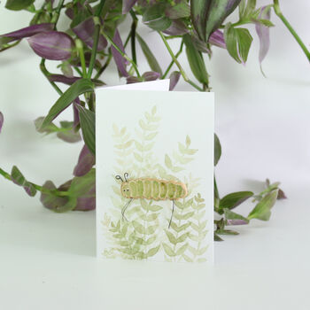 Cara Caterpillar Plant Hugger Decoration | Gift Card | Letterbox Gift, 3 of 4