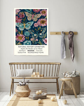 Botanical Butterfly Natural History Art Print, 3 of 4
