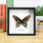 Pipevine Swallowtail Handcrafted Frame, thumbnail 1 of 3