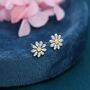 Sterling Silver Little Daisy Flower Stud Earrings, thumbnail 4 of 10