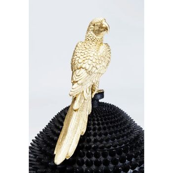 Box Parrot, 4 of 7