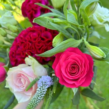 Vibrant Celosia Bouquet, 2 of 3