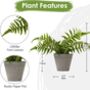 Pack Of Two Artificial Boston Fern Plant In Pots, thumbnail 6 of 6