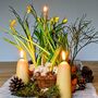 British Beeswax Candles, Short Stubby, thumbnail 8 of 9