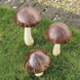 Set Of Three Coconut Wooden Mushrooms, thumbnail 3 of 3