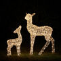 Twinkly Smart LED Outdoor Christmas Doe And Fawn, thumbnail 12 of 12
