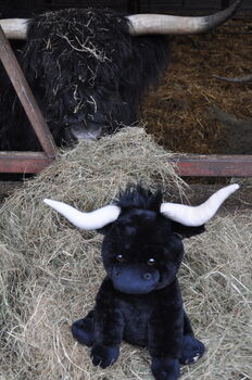 Medium Longhorn Highland Black 23cm Cow With Personalised Heart, 3 of 9