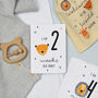 Personalised Zoo Milestone Cards In Drawstring Bag, thumbnail 4 of 7