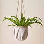 Sew Your Own: Hanging Plant Pot Kit Felt Included, thumbnail 1 of 3