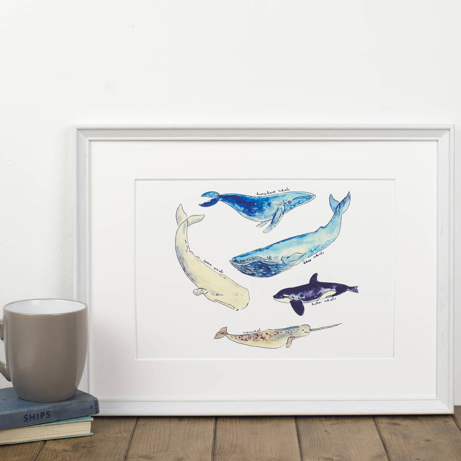 deep sea whales art print by wildflower illustration co ...