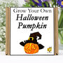 Halloween Gift. Grow Your Own Halloween Pumpkin Kit, thumbnail 1 of 6
