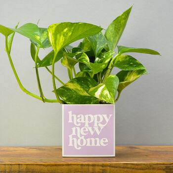 'Happy New Home' Positivity Plant Pot And Houseplant, 4 of 7