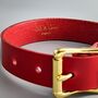 Personalised Red Leather Dog Collar, thumbnail 3 of 8