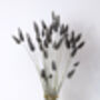 Grey Dried Fluffy Bunny Tails, thumbnail 2 of 4