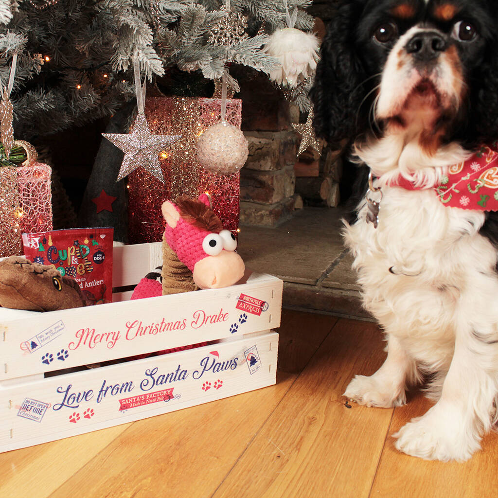 Personalised Santa Paws Pet Christmas Eve Crate By Dreams To Reality ...