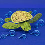 Create Your Own Tiny Turtle, thumbnail 1 of 4