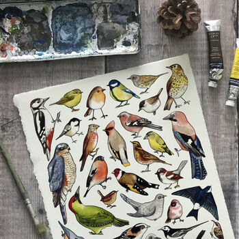 Garden Birds Of Britain Wildlife Watercolour Print, 4 of 8
