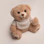 Personalised Teddy Bear With Sweater, thumbnail 2 of 5