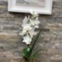 White Cymbidium Orchid Silk Flower Arrangement, thumbnail 5 of 6