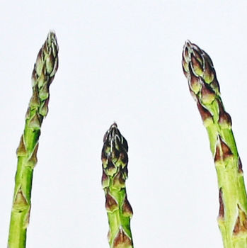 Card With Asparagus Illustration, 3 of 3