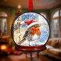 Robin Snow Globe Decoration, thumbnail 2 of 3