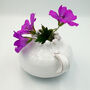 Single Stem Bud Vase: String Of Pearls, thumbnail 7 of 7