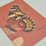 Set Of Four Greeting Cards Of British Insects, thumbnail 3 of 10