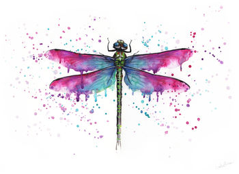 Dragonfly Painting Illustration Print Poster, 2 of 2