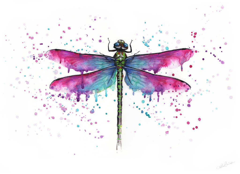 Dragonfly Painting | vlr.eng.br