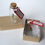 Tiny Single Rose In A Bottle With Personalised Message, thumbnail 8 of 11