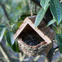 Woven House Martin Bird Nest Box With Wooden Roof, thumbnail 4 of 6