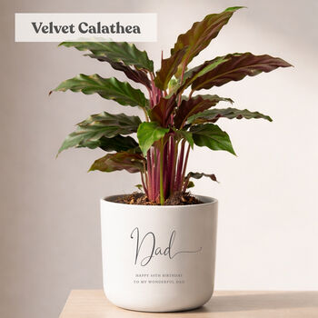 Personalised Birthday Gift For Dad | Indoor Pot Add Plant, 2 of 6