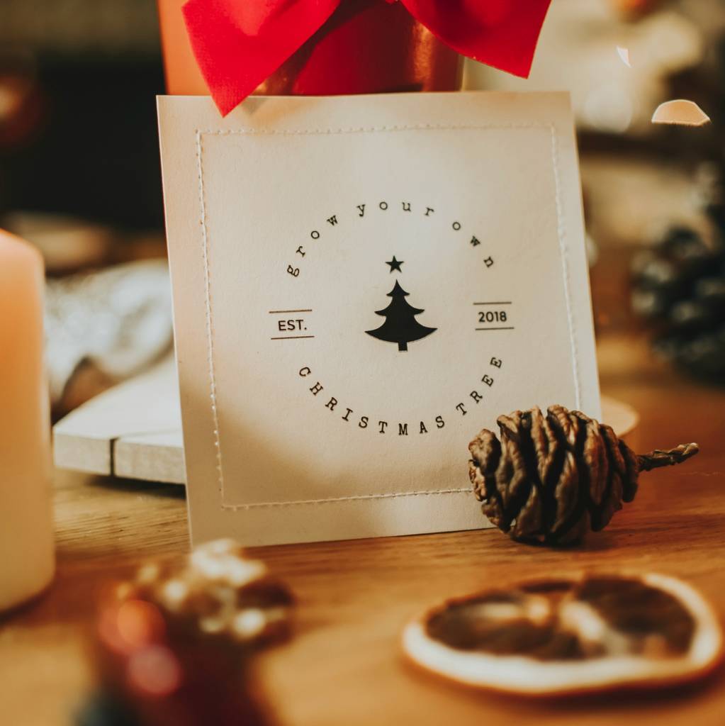 Grow Your Own Christmas Tree Seed Packet By Ovo Bloom