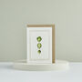 Botanist Archive Brussel Sprouts Christmas Card, thumbnail 3 of 4