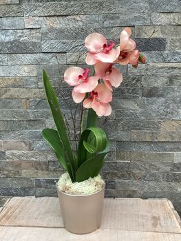 Peach Artificial Silk Orchid Flower Arrangement, 5 of 6