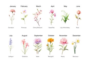 Birth Month Flower Print With Meaning, 3 of 4