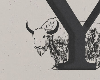 Y Is For Yak, Alphabet Card, 2 of 2