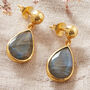 Labradorite Drop Gold Plated Silver Ball Stud Earrings, thumbnail 1 of 12