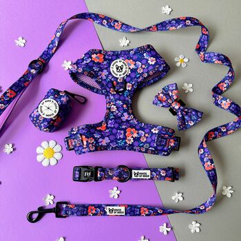 Ditsy Floral Dog Harness Bundle Collar And Lead Set, 4 of 12