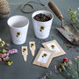 Personalised Mummy And Me Sunflower Garden Gift Set, thumbnail 1 of 1