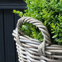 Extra Large Zinc Lined Rattan Planter, thumbnail 5 of 6