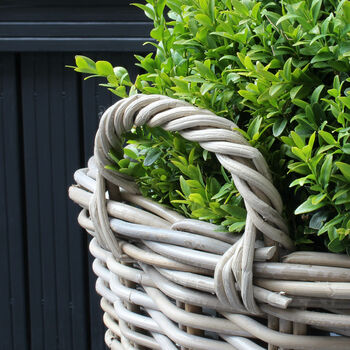 Extra Large Zinc Lined Rattan Planter, 5 of 6