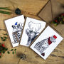 Festive Animals Assorted Christmas Card Pack, thumbnail 1 of 7