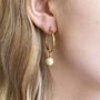 Hinged Hoop Earrings With Swarovski Pearl Detail, thumbnail 1 of 7