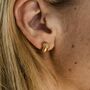 Gold Plated Acorn Earrings Hadrians Wall Path Symbol, thumbnail 1 of 3