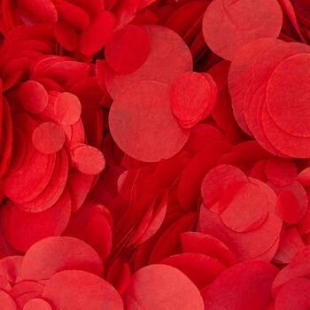 Red Wedding Confetti | Biodegradable Paper Confetti, 2 of 6