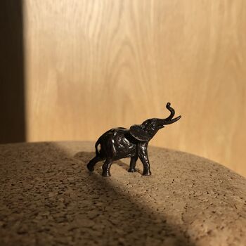 Miniature Bronze Safari, 8th Anniversary Gift Set, 6 of 11