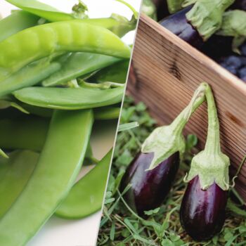 Grow Your Own Six Month Vegetable Seed Subscription, 2 of 9