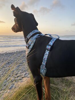 Navy Confetti Print Dog Harness, 5 of 12