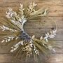 Barley And Ruscus Wreath, thumbnail 3 of 5